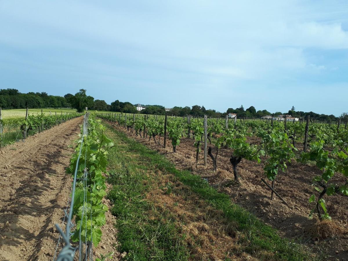 Escapade Entre Vignes Et Mer Corme-Royal Exterior foto